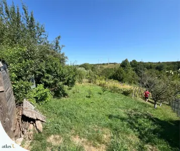 Teren Iași - poza 3