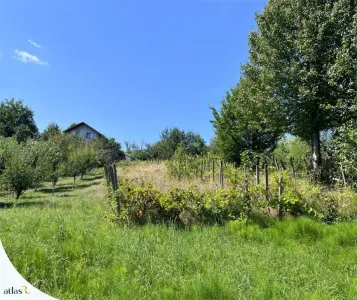 Teren Iași - poza 4