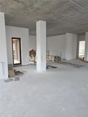 Spațiu comercial Timișoara - poza 12