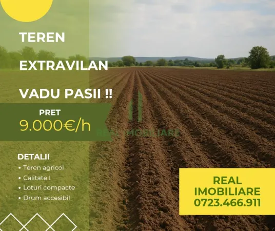 Teren Vadu Pasii - poza 1