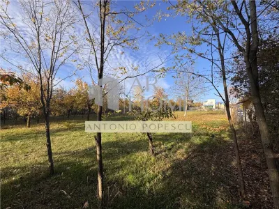 Teren Păulești - poza 5