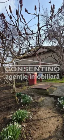 Casă 3 camere Movila Banului - poza 11