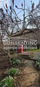Casă 3 camere Movila Banului - poza 11
