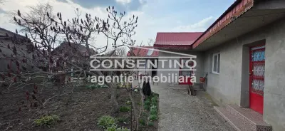 Casă 3 camere Movila Banului - poza 5