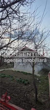 Casă 3 camere Movila Banului - poza 6