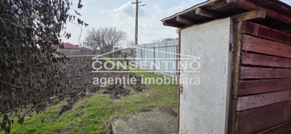 Casă 3 camere Movila Banului - poza 10