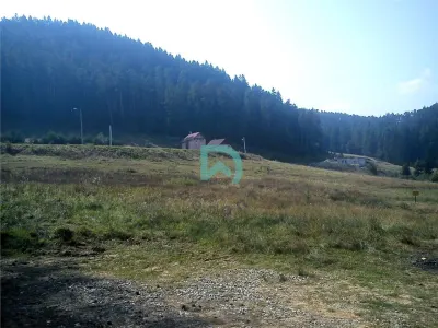 Teren Poiana Angelescu, Sacele, Brasov - Sacele