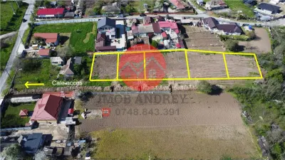 Loturi teren intravilan Mineri, ideale casa, 500mp/730mp - Mineri