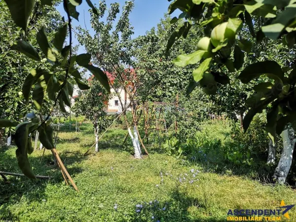 Casă 4 camere Brașov - poza 1