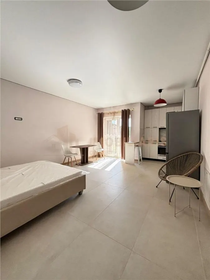 Apartament 1 camera Baia Mare - poza 1