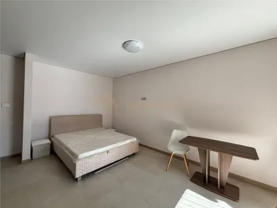 Apartament 1 camera Baia Mare - poza 3