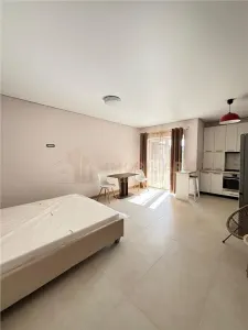Apartament 1 camera Baia Mare - poza 8