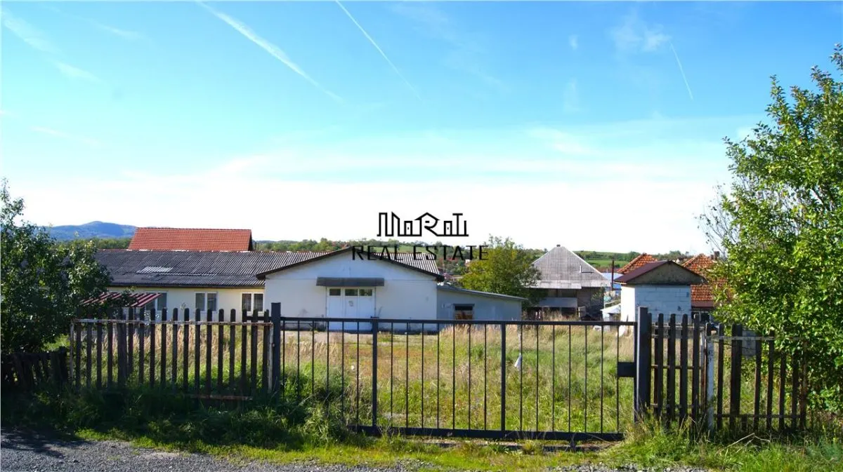 Spațiu industrial Brad - poza 1