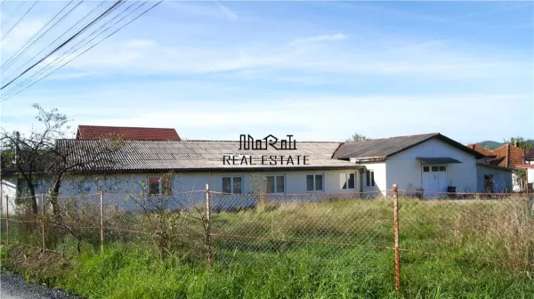 Spațiu industrial Brad - poza 3
