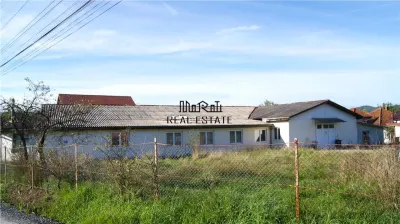 Spațiu industrial Brad - poza 3