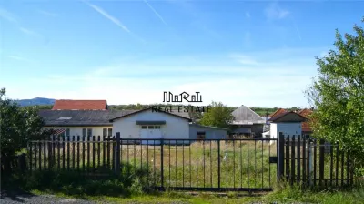 Spațiu industrial Brad - poza 4