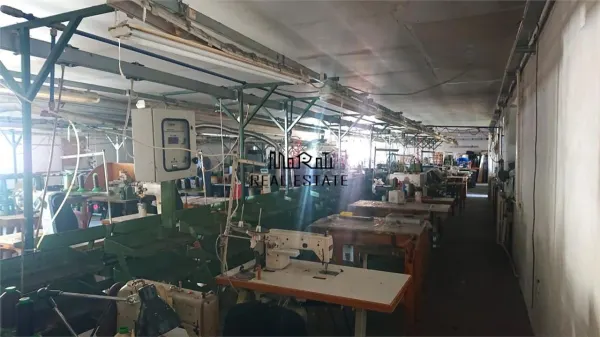 Spațiu industrial Brad - poza 8