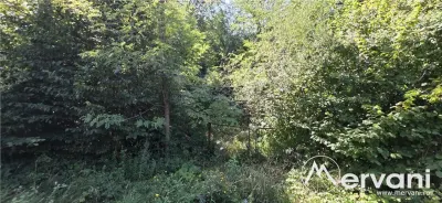 Teren intravilan de vanzare in Lunca Mare (la 10 km de Valea Doftanei) - Sotrile