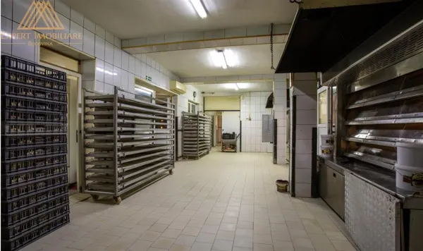 Spațiu industrial Vatra Dornei - poza 5