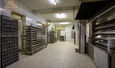 Spațiu industrial Vatra Dornei - poza 5