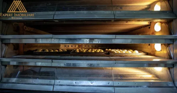 Spațiu industrial Vatra Dornei - poza 7