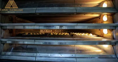 Spațiu industrial Vatra Dornei - poza 7