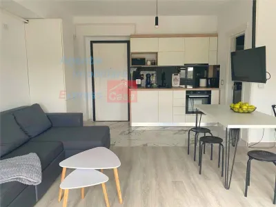 Apartament de inchiriat 1 camera, zona Tatarasi - Iasi