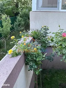 Apartament 3 camere București - poza 16