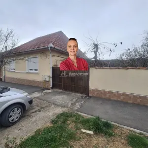 Bocsa Vasiova, Casa cocheta pentru familie, cu Gradina. - Bocsa