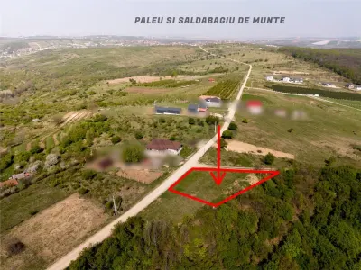 Teren Saldabagiu de Munte - poza 3