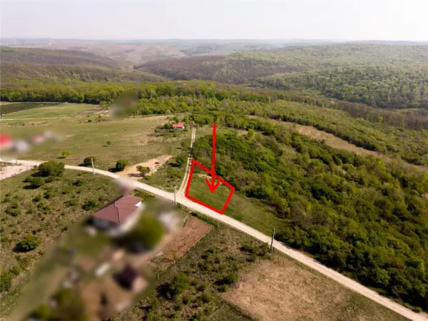 Teren Saldabagiu de Munte - poza 5