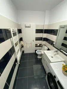 Apartament 1 camera Giroc - poza 1