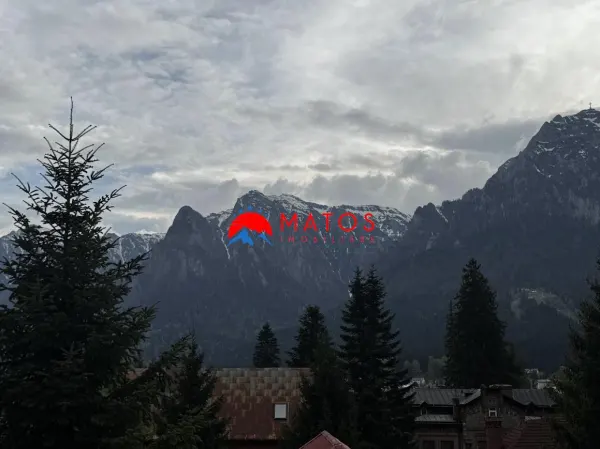 Casă 14 camere Bușteni - poza 20