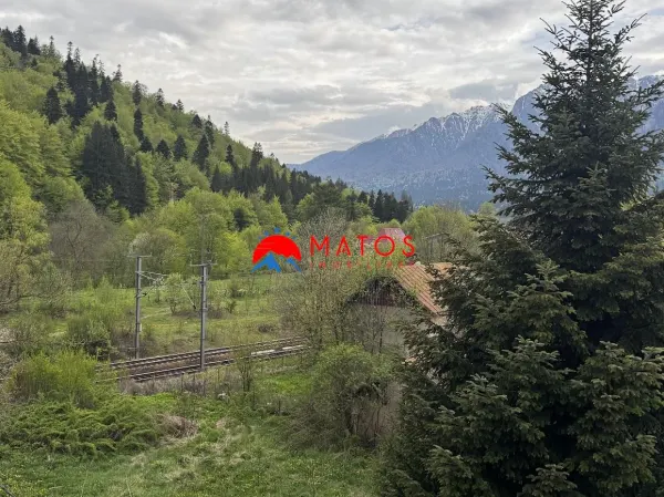 Casă 14 camere Bușteni - poza 56