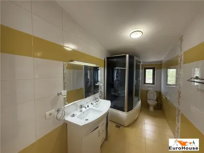 Spațiu comercial Alba Iulia - poza 13