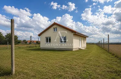 Antony Estate I Vanzare, Country House, Tileagd, Bihor - Tileagd