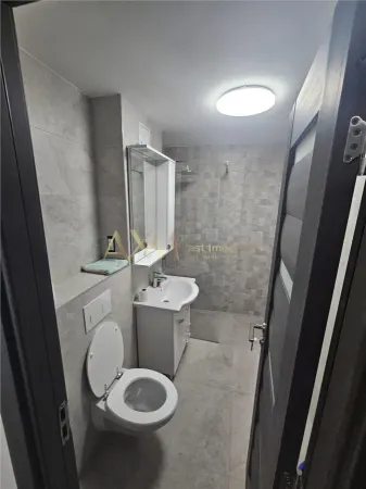 Apartament 1 camera Timișoara - poza 8