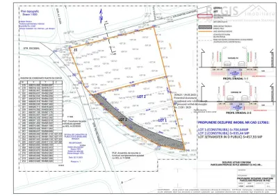 Teren intravilan de vanzare - PUZ aprobat - Harman Brasov - Harman
