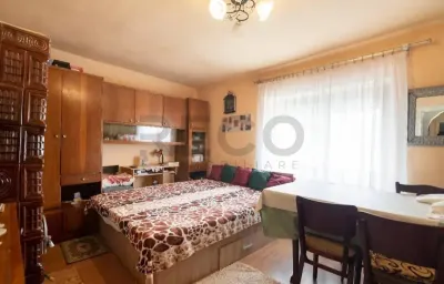 Casă 4 camere Tamaseu - poza 3