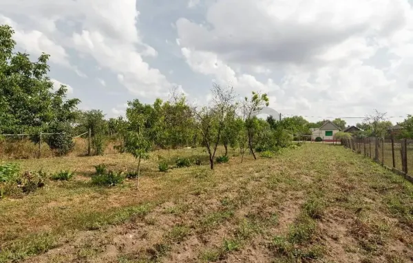 Casă 4 camere Tamaseu - poza 4