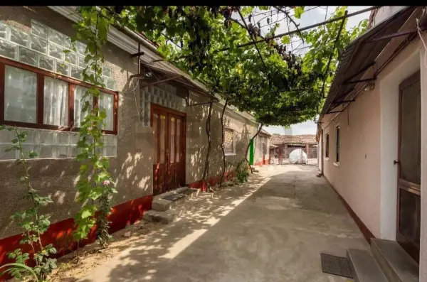 Casă 4 camere Tamaseu - poza 7