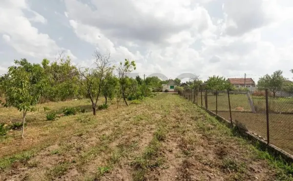 Casă 4 camere Tamaseu - poza 8