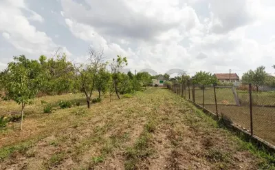 Casă 4 camere Tamaseu - poza 8