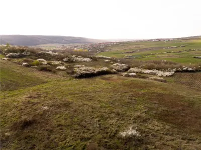 Teren Betfia - poza 5