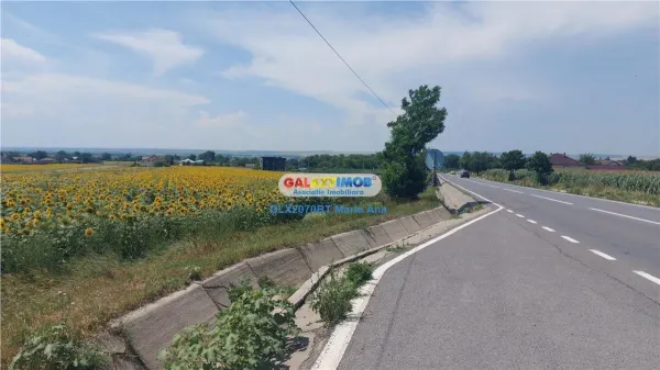 Casă 7 camere Botoșani - poza 60