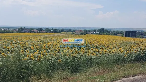 Casă 7 camere Botoșani - poza 61