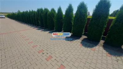 Casă 7 camere Botoșani - poza 9