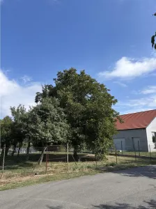 Teren - Plopi - Toate utilitatile + str. asfaltata - Timisoara
