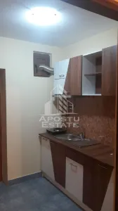 Apartament 1 camera Timișoara - poza 4
