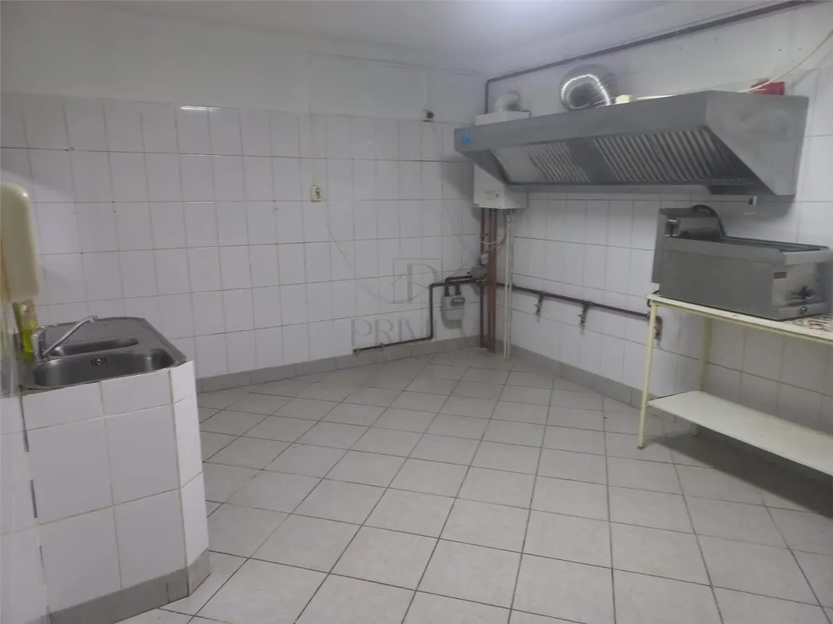 Spațiu comercial Timișoara - poza 1